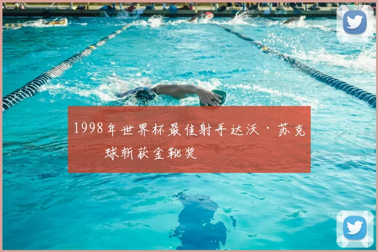 1998年世界杯最佳射手达沃·苏克六球斩获金靴奖