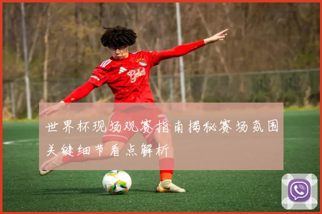 世界杯现场观赛指南揭秘赛场氛围关键细节看点解析