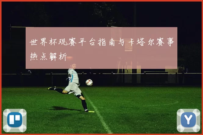 世界杯观赛平台指南与卡塔尔赛事热点解析