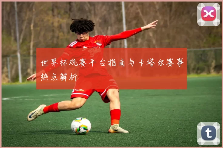 世界杯观赛平台指南与卡塔尔赛事热点解析