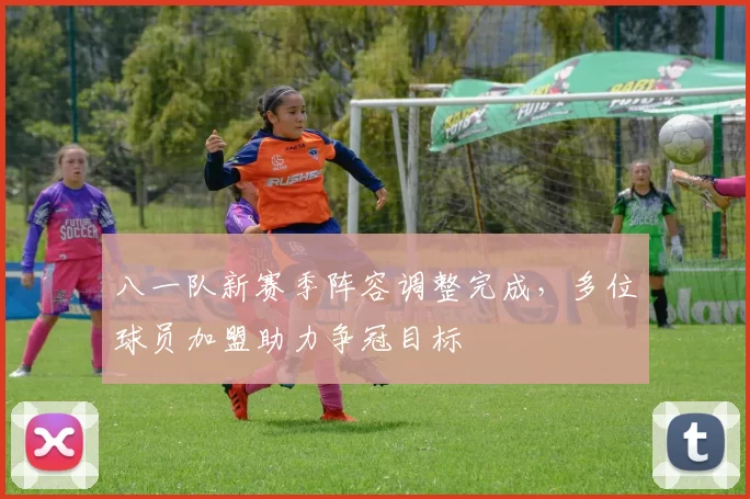 八一队新赛季阵容调整完成,多位球员加盟助力争冠目标