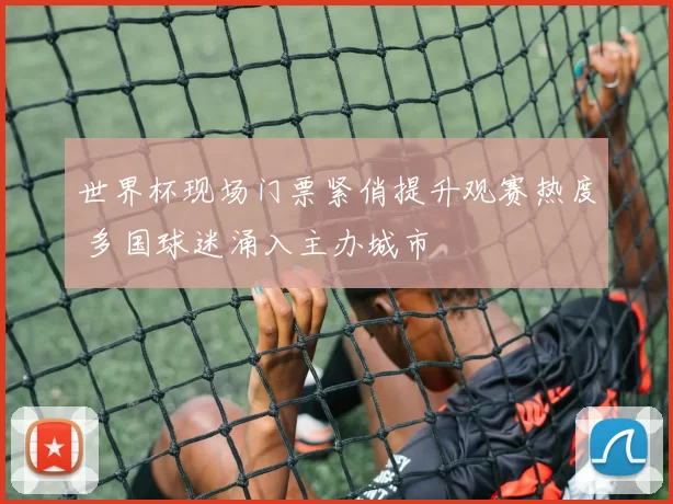 世界杯现场门票紧俏提升观赛热度 多国球迷涌入主办城市